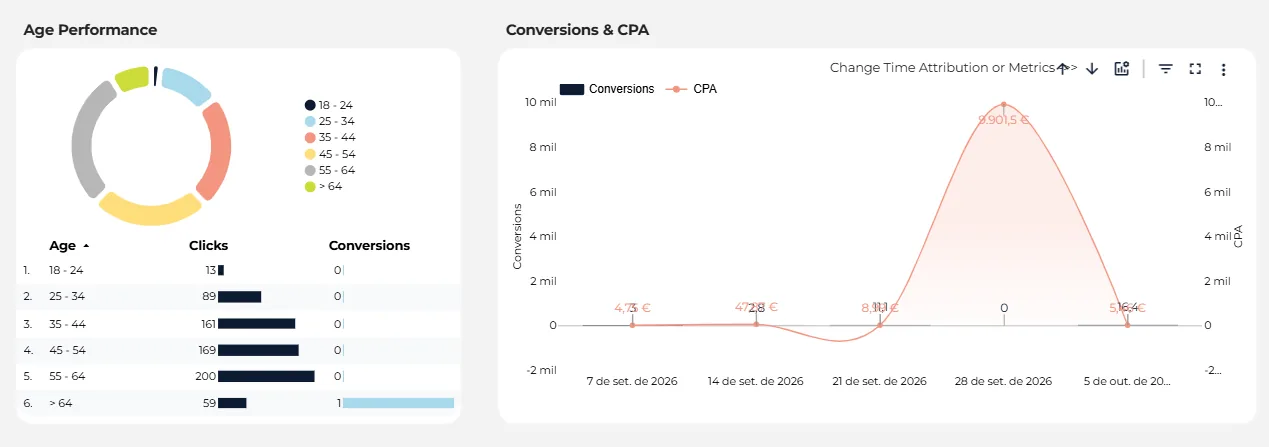 Age performance and conversions breakdown